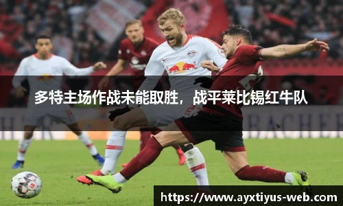 多特主场作战未能取胜，战平莱比锡红牛队